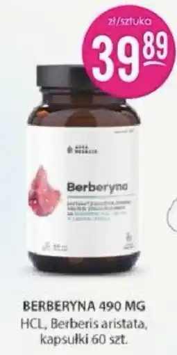 Jaśmin Berberyna oferta