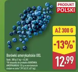 ALDI Borówki amerykańskie XXL oferta