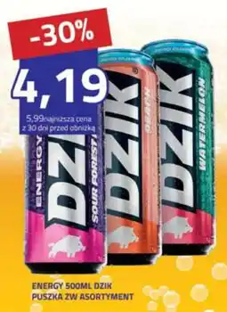 Hildebrandt Energy dzik oferta