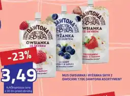 Hildebrandt Mus Owsianka i Ryżanka Skyr z Owocami Dawtona oferta
