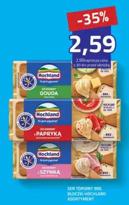 Hildebrandt Ser Topiony Hochland Asortyment oferta