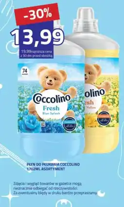 Hildebrandt Płyn do płukania Coccolino oferta