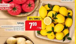 Polomarket Cytryny oferta