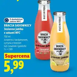 Lidl Napój Bracia Sadownicy Jesienne jabłko żurawina z kardamonem oferta