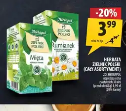 Arhelan Herbata Zielnik Polski Herbapol oferta