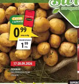 Arhelan Ziemniaki polskie oferta