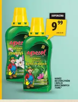 Arhelan Nawóz do storczyków Agrecol oferta