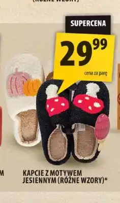 Arhelan Kapcie z motywem jesiennym oferta