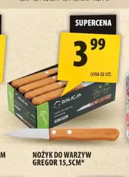 Arhelan Nóż do warzyw Gregor 15,5 cm Galicja oferta