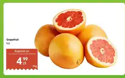 Dino Grapefruit luz oferta