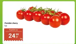 Dino Pomidor cherry luz oferta