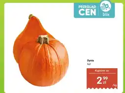 Dino Dynia oferta