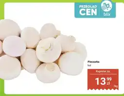 Dino Pieczarka luz oferta