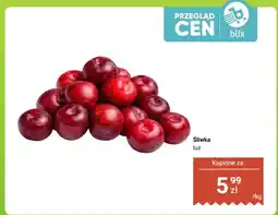 Dino Śliwka luz oferta