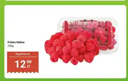 Dino Malina polska oferta