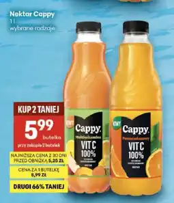 Delikatesy Centrum Nektar Cappy multiwitamina oferta