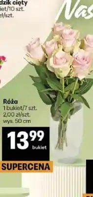 Delikatesy Centrum Róża wys. 50 cm oferta