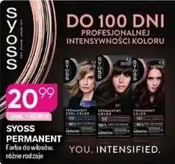 Koliber drogerie SYOSS PERMANENT Farba do włosów oferta