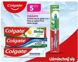 Koliber drogerie Colgate Szczoteczka do zębów oferta