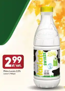 Avita Mleko Łaciate oferta