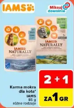 Carrefour Market Karma mokra dla kota IAMS oferta