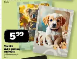 Netto Teczka A4 z gumką Animals oferta