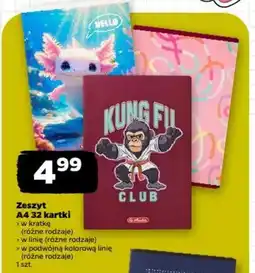 Netto Zeszyt A4 32 kartki oferta