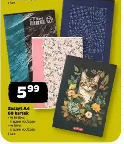 Netto Zeszyt A4 oferta