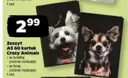 Netto Zeszyt A5 60 kartek Crazy Animals oferta