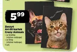 Netto Zeszyt A4 60 kartek Crazy Animals oferta