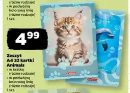 Netto Zeszyt A4 32 kartki Animals oferta