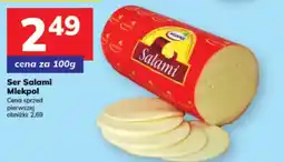 Hitpol Ser Salami Mlekpols oferta