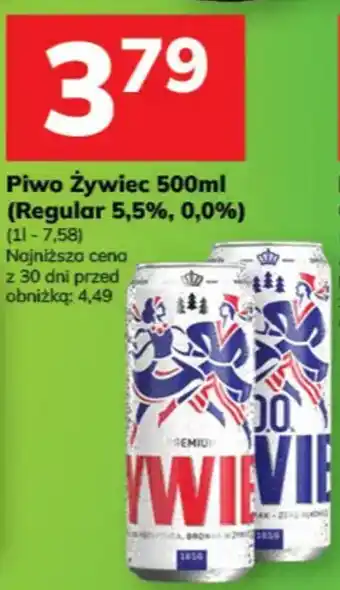 Hitpol Piwo Żywiec oferta
