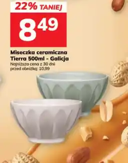 Hitpol Miseczka ceramiczna Tierra oferta