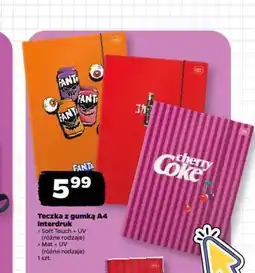 Netto Teczka z gumką A4 Interdruk oferta