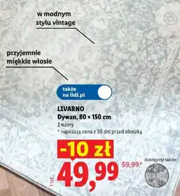 Lidl LIVARNO Dywan oferta