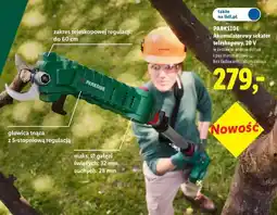 Lidl Akumulatorowy sekator teleskopowy oferta