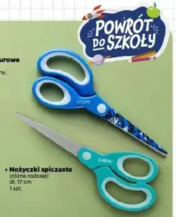 Netto Nożyczki spiczaste oferta