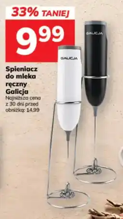Hitpol Spieniacz do mleka ręczny Galicia oferta