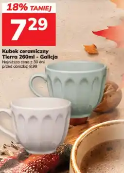 Hitpol Kubek ceramiczny Tierra 260ml - Galicja oferta