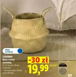 Lidl Livarno Kosz z trawy morskiej oferta