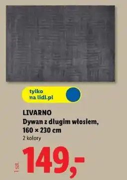 Lidl LIVARNO Dywan z długim włosiem oferta