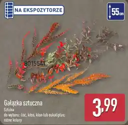 ALDI Gałązka sztuczna oferta