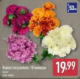 ALDI Bukiet chryzantem oferta
