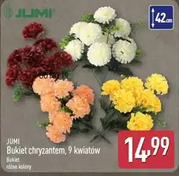 ALDI JUMI Bukiet chryzantem, 9 kwiatów oferta