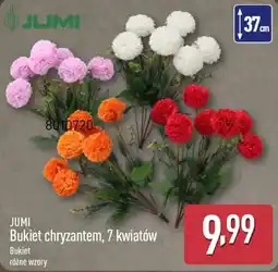 ALDI JUMI Bukiet chryzantem, 7 kwiatów oferta