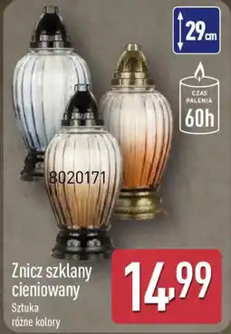ALDI Znicz szklany cieniowany oferta