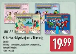 ALDI Książka aktywizująca z licencją oferta