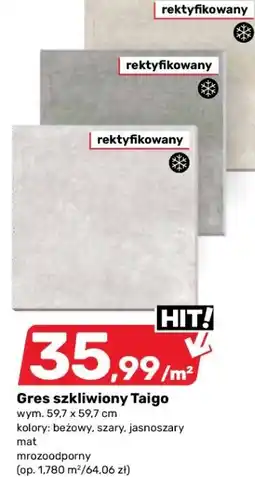 Bricomarche Gres szkliwiony Taigo oferta