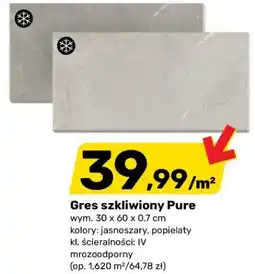 Bricomarche Gres szkliwiony Pure oferta